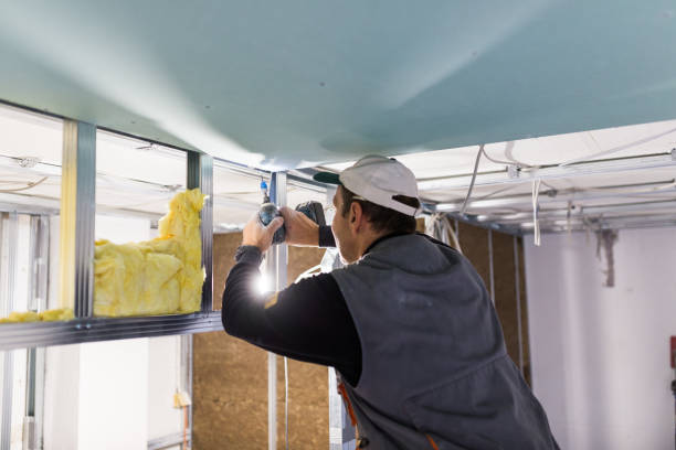Best Eco-Friendly Insulation in White Bluff, TN